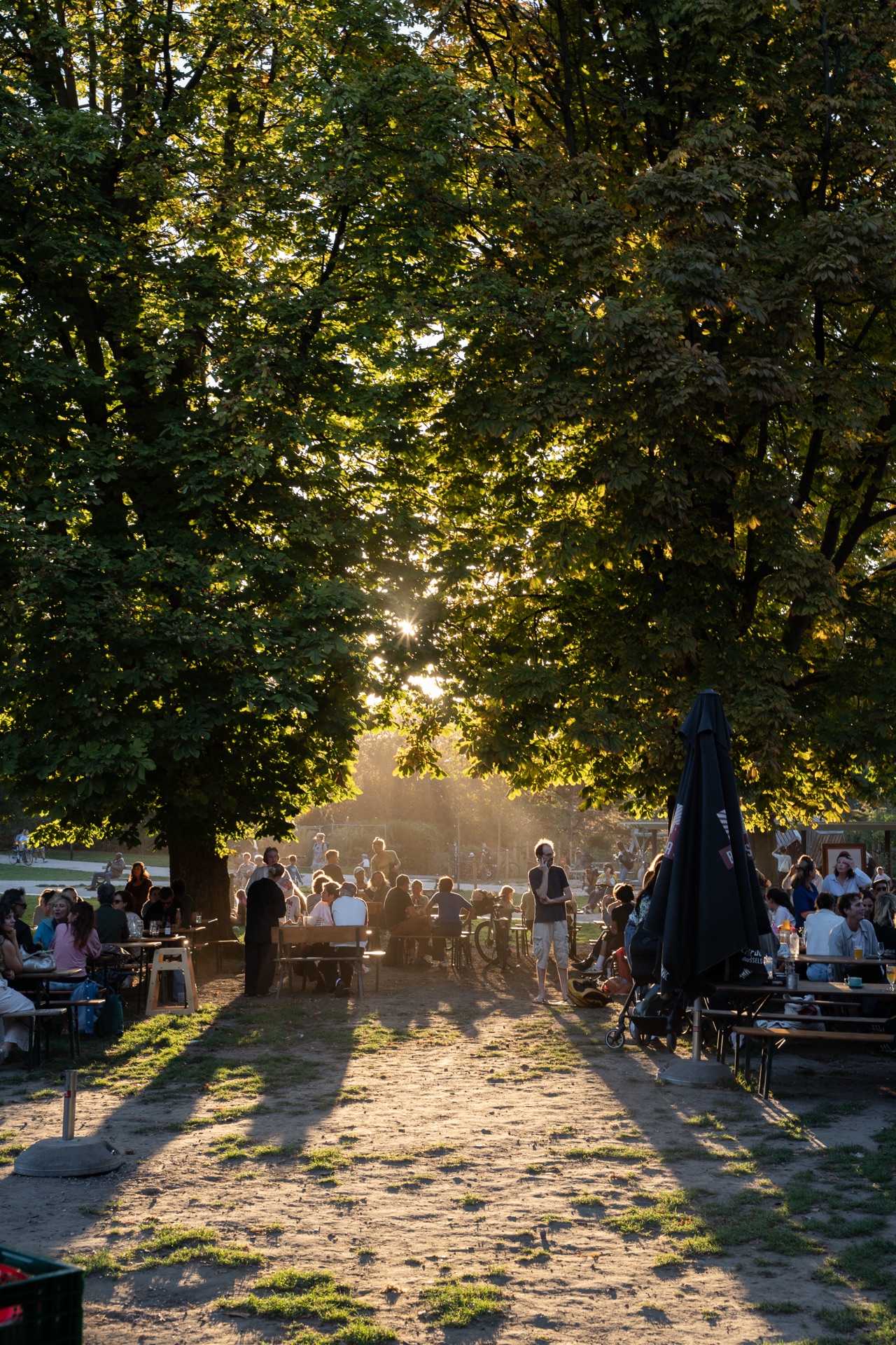 Guinguette · Parc de Forest