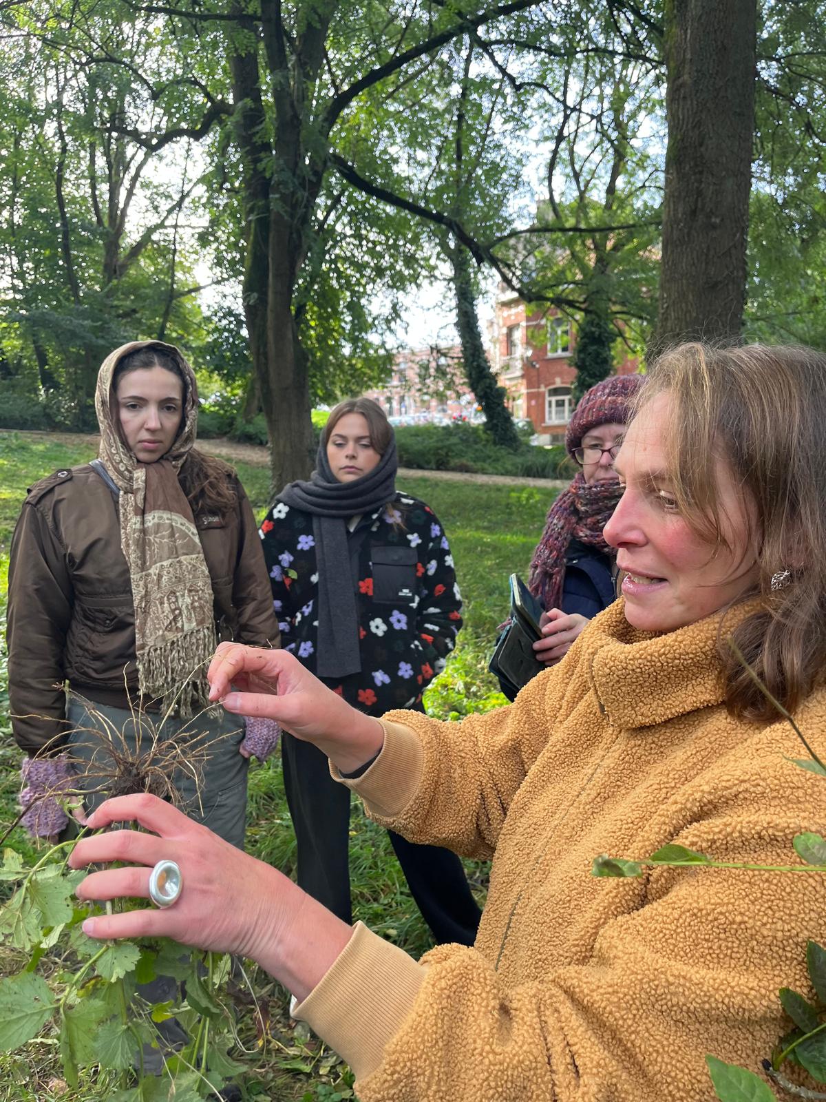 A la découverte des plantes sauvages du Parc de Forest